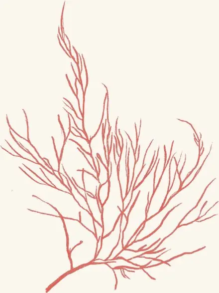 Asgard’s Red Weed — an illustrated motif from the Billion Oyster Project mural