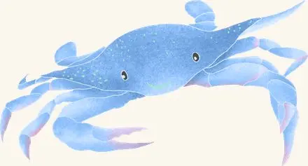 Blue Crab — an illustrated motif from the Billion Oyster Project mural