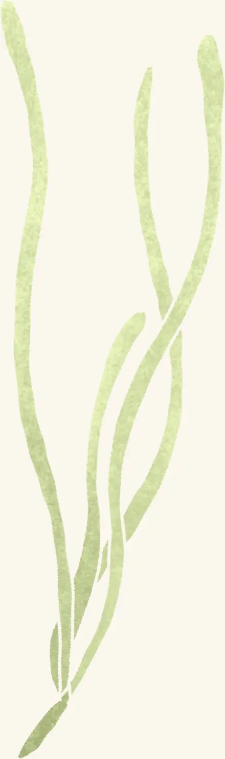 Eel Grass — an illustrated motif from the Billion Oyster Project mural