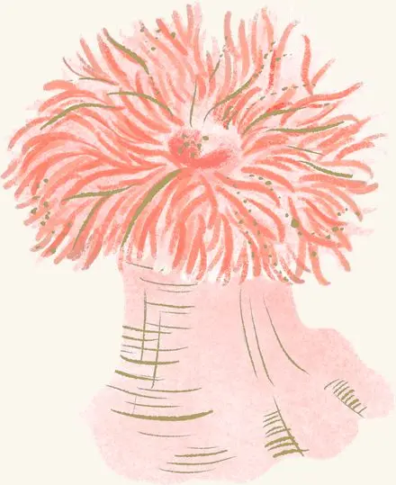 Frilled Anemone — an illustrated motif from the Billion Oyster Project mural