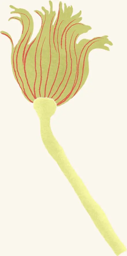 Hydroid — an illustrated motif from the Billion Oyster Project mural
