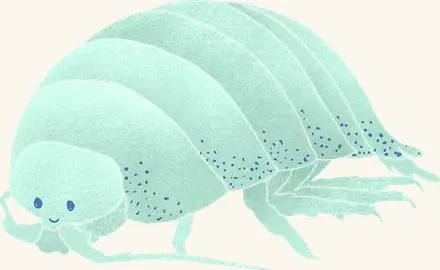 Isopod — an illustrated motif from the Billion Oyster Project mural