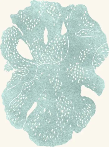 Lacy Bryozoan — an illustrated motif from the Billion Oyster Project mural