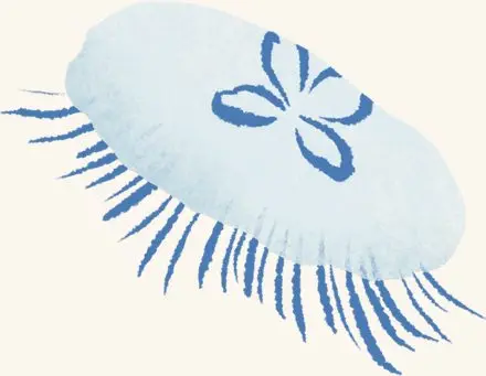 Moon Jelly — an illustrated motif from the Billion Oyster Project mural