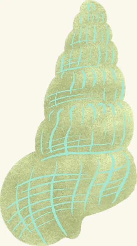Mud Snail — an illustrated motif from the Billion Oyster Project mural