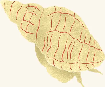 Oyster Drill — an illustrated motif from the Billion Oyster Project mural