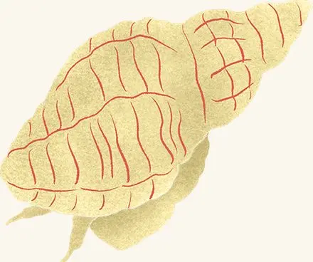Oyster Drill — an illustrated motif from the Billion Oyster Project mural