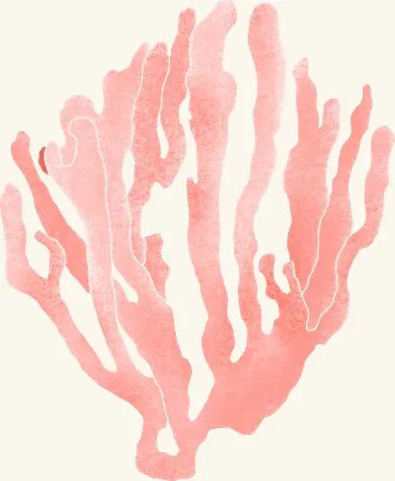 Red Beard Sponge — an illustrated motif from the Billion Oyster Project mural