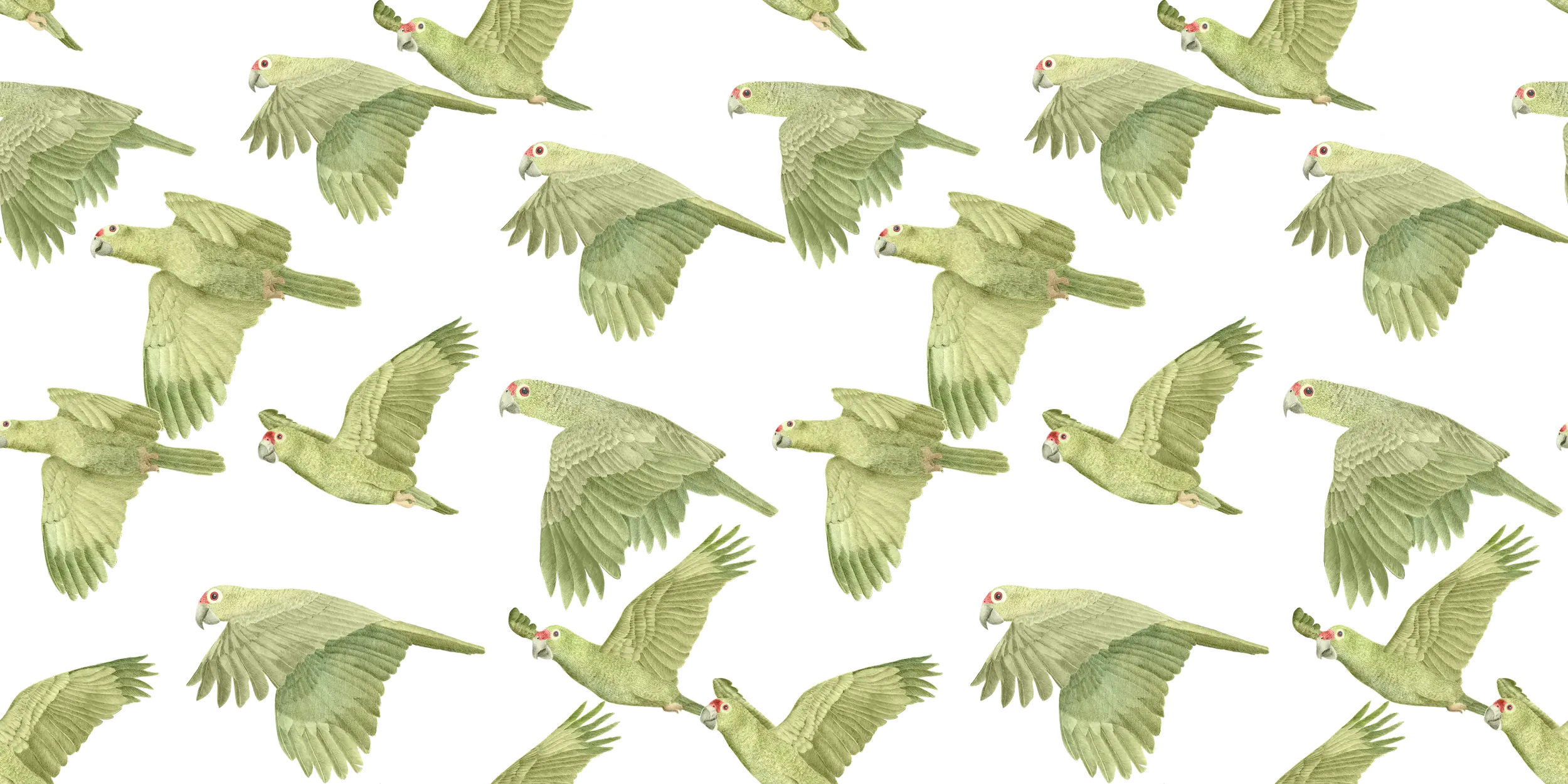 A repeating pattern of red-lored parrots in flight, painted in soft greens