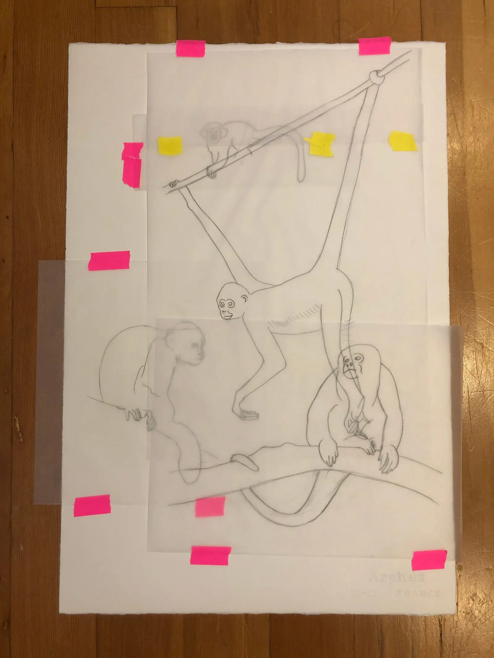A layout sketch of monkeys on tracing paper, taped together with pink and yellow tape on a wooden floor