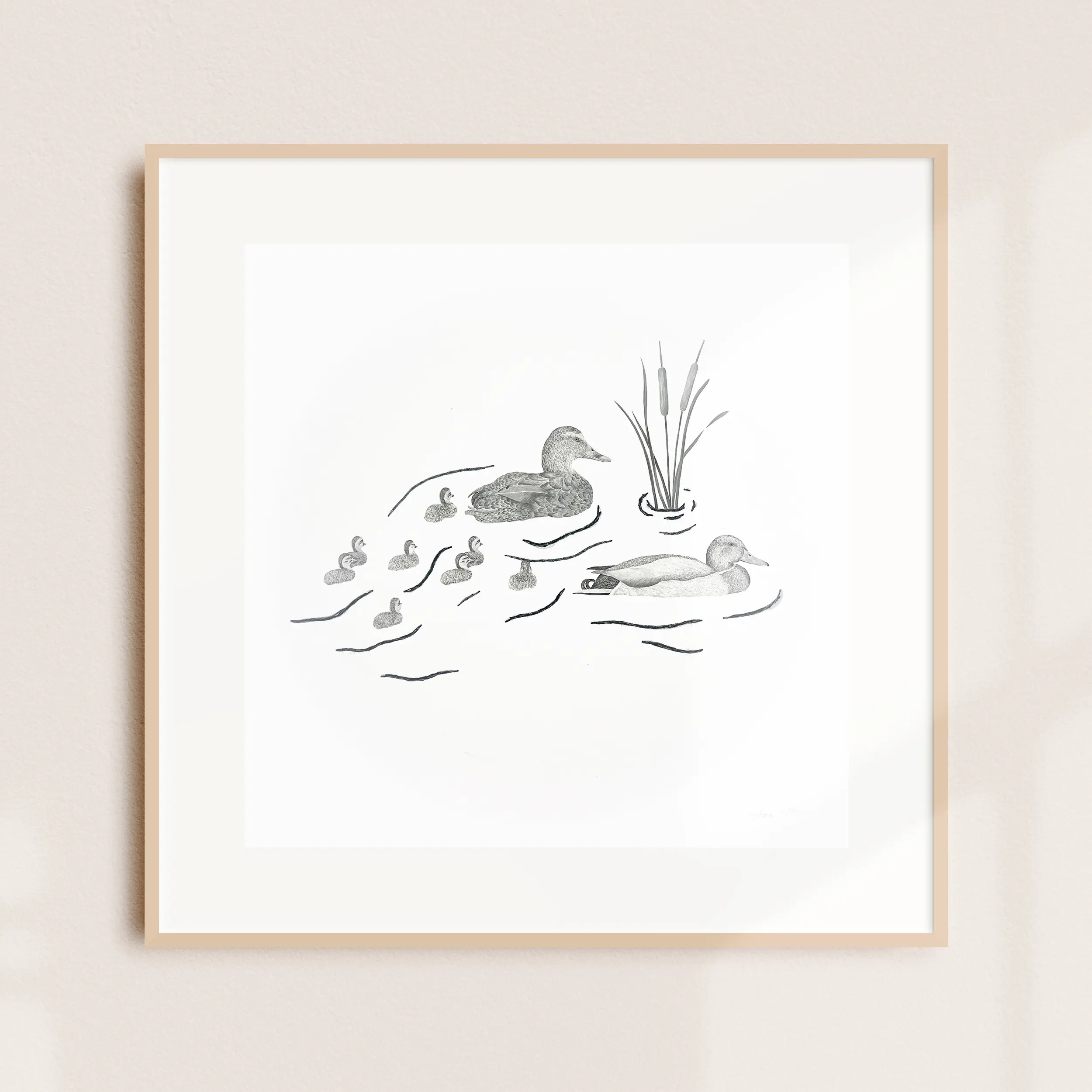 A framed illustration of a mallard with ducklings swimming near cattails