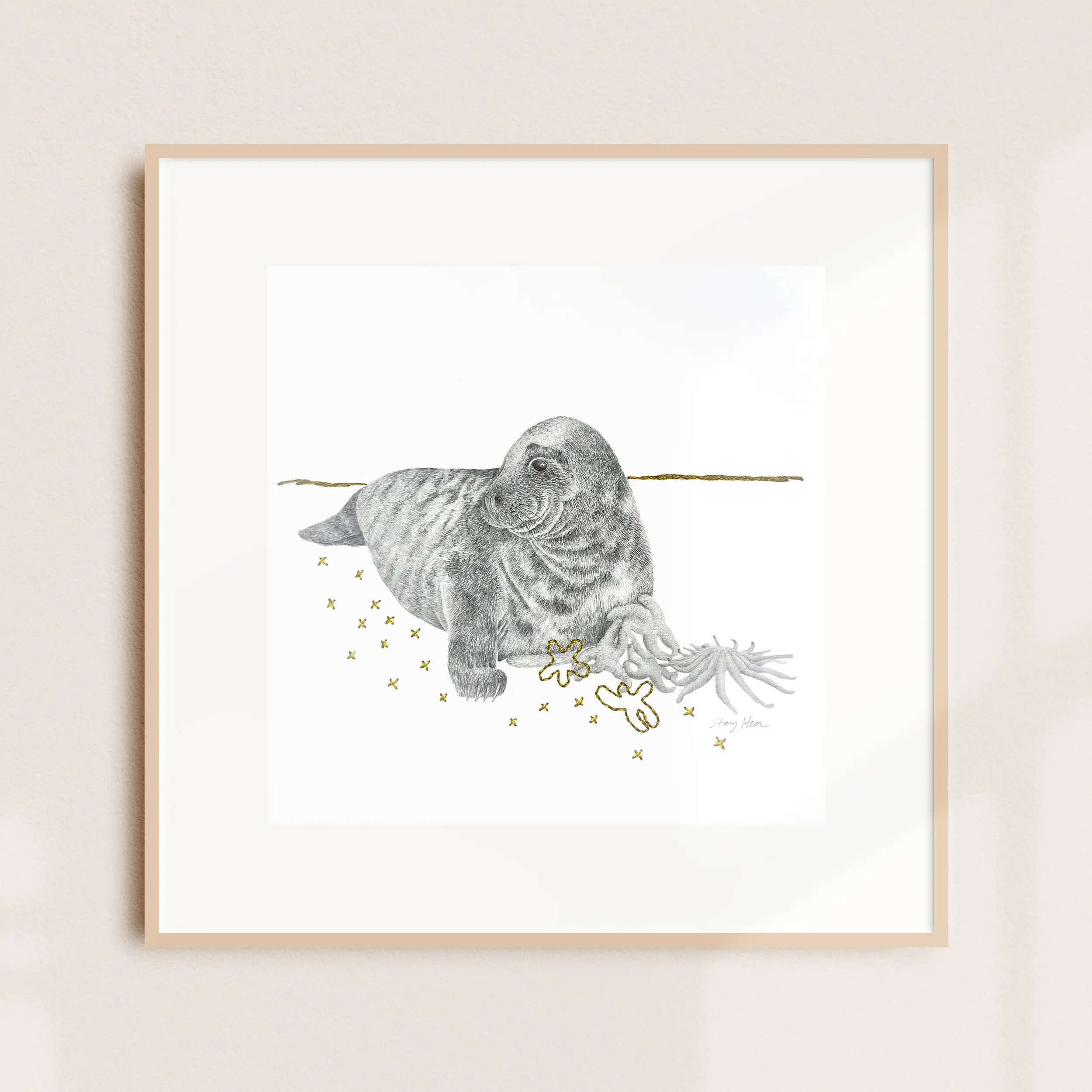 A framed illustration of a seal pup