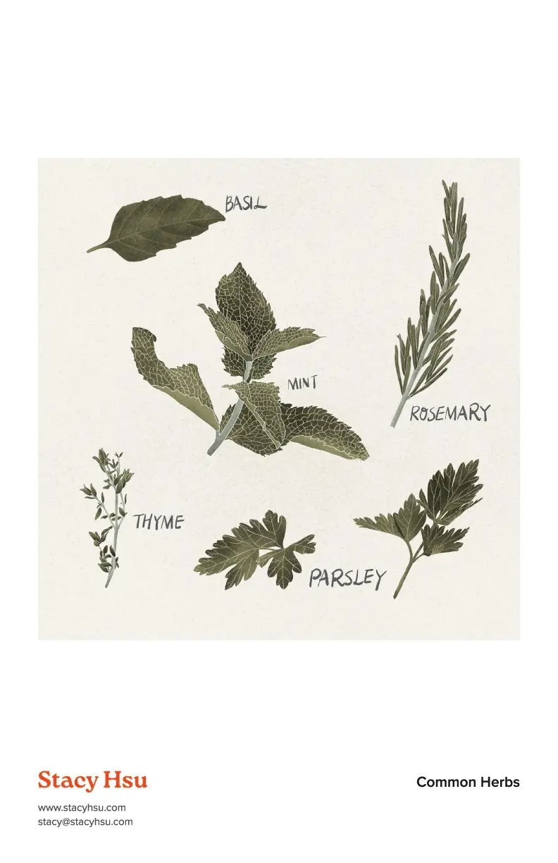 Common Herbs