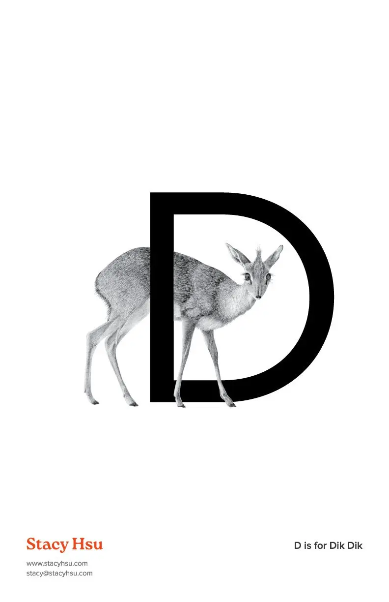 D is for Dik Dik