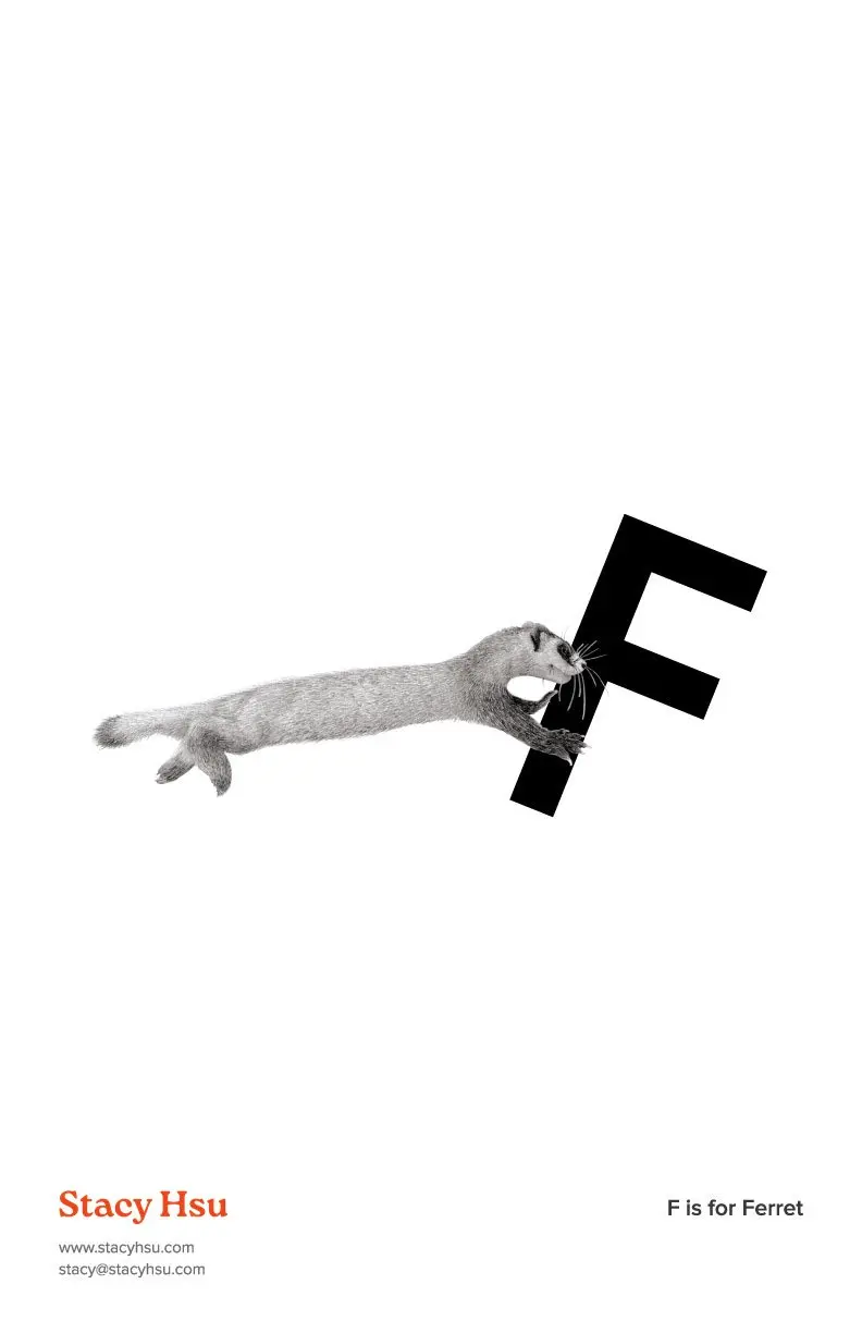F is for Ferret