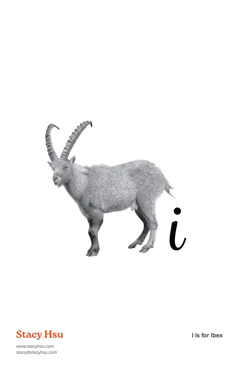 I is for Ibex