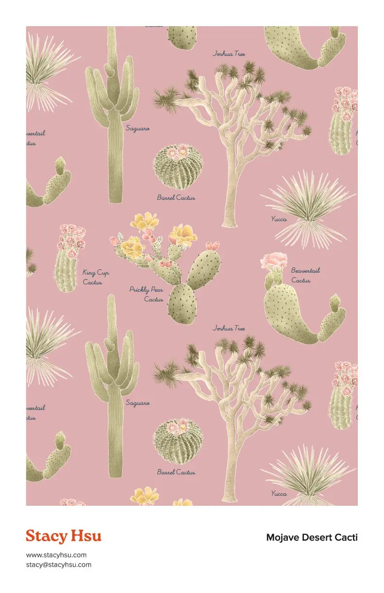 Mojave Desert Cacti