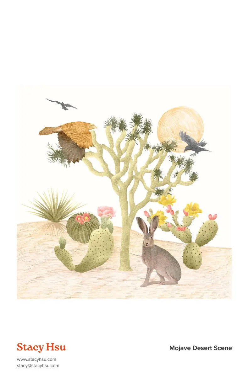 Mojave Desert Scene - Joshua Tree