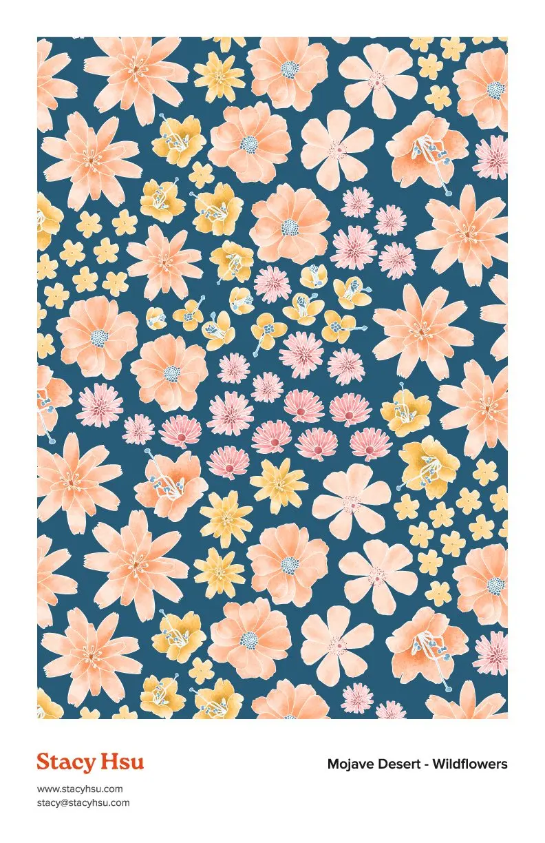 Mojave Desert - Wildflowers