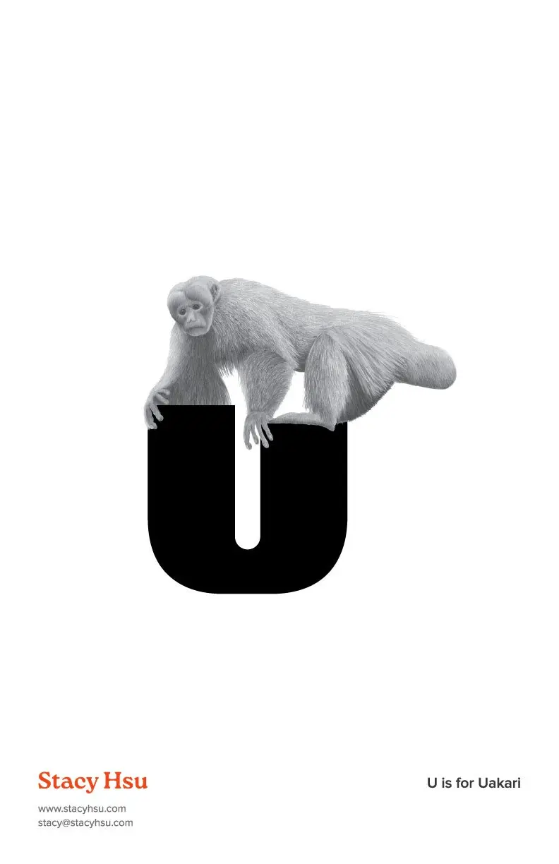 U is for Uakari