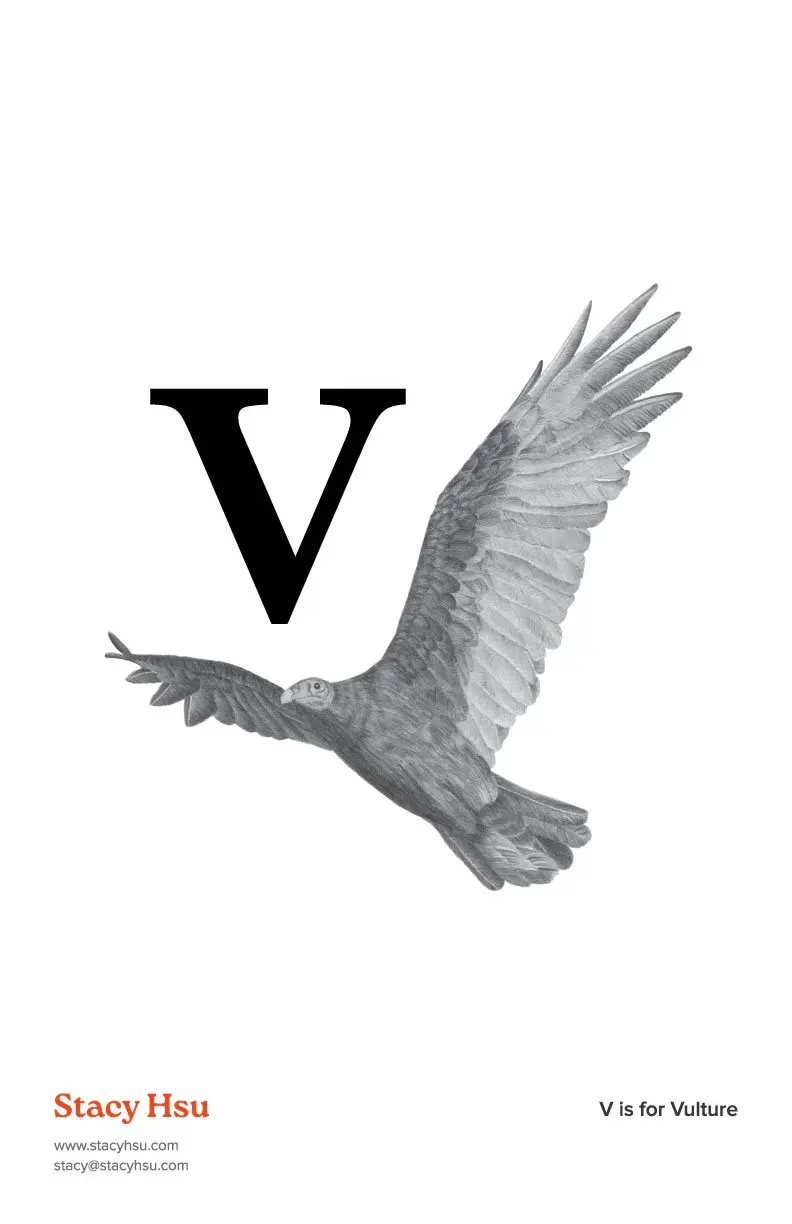 V is for Vulture