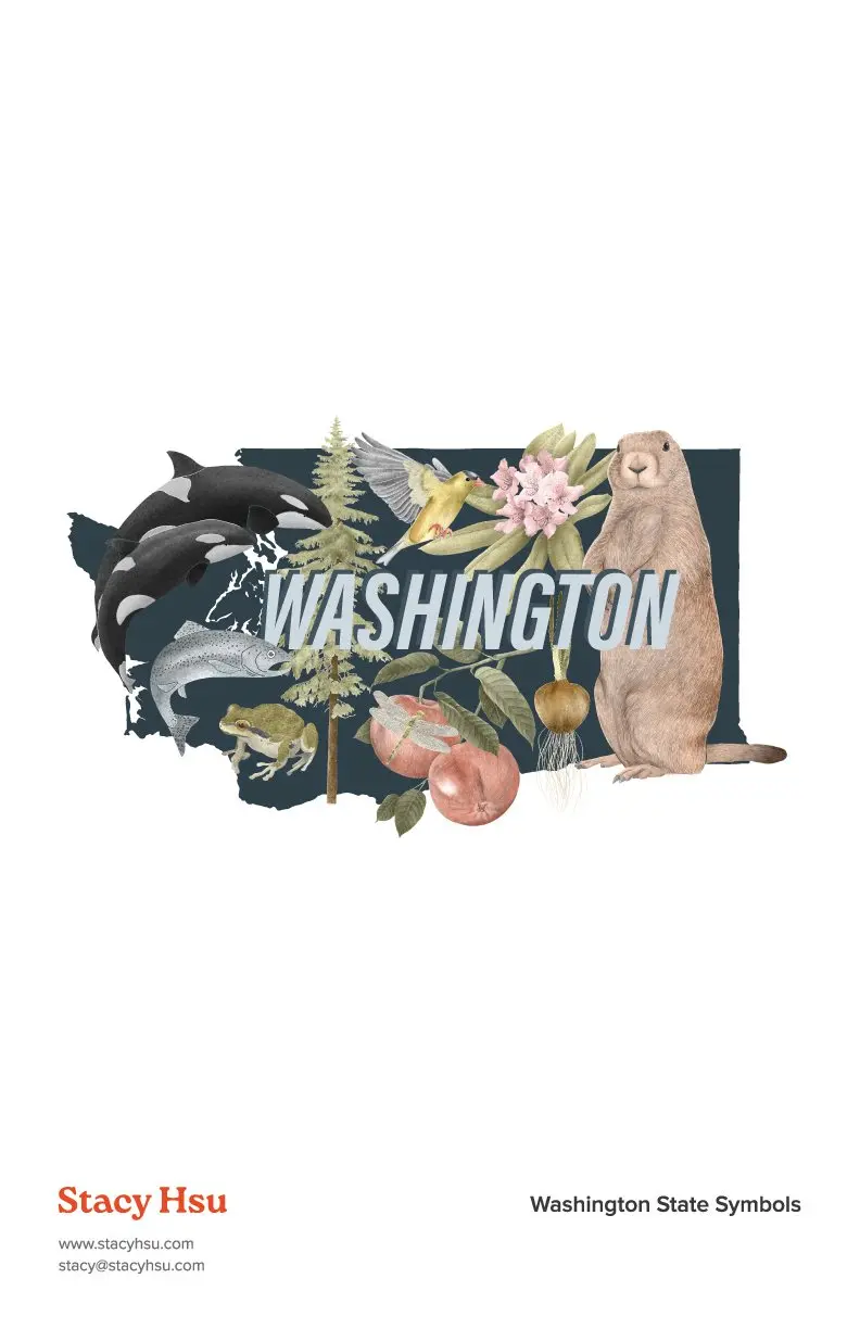 Washington State Symbols
