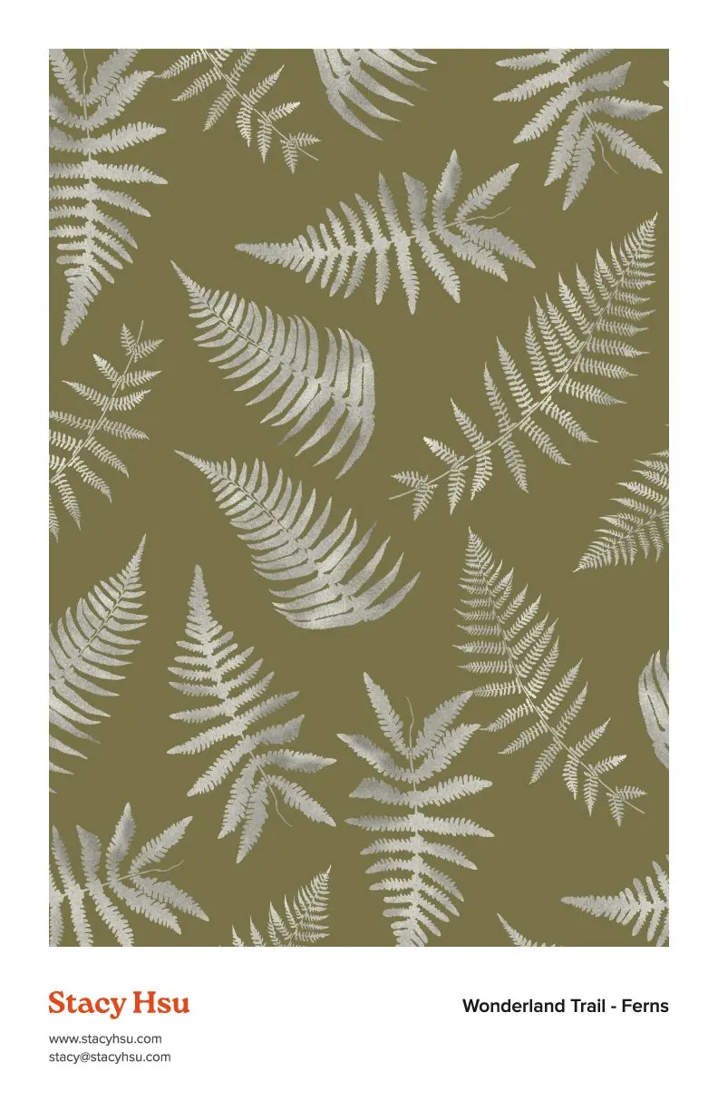 Wonderland Trail - Ferns