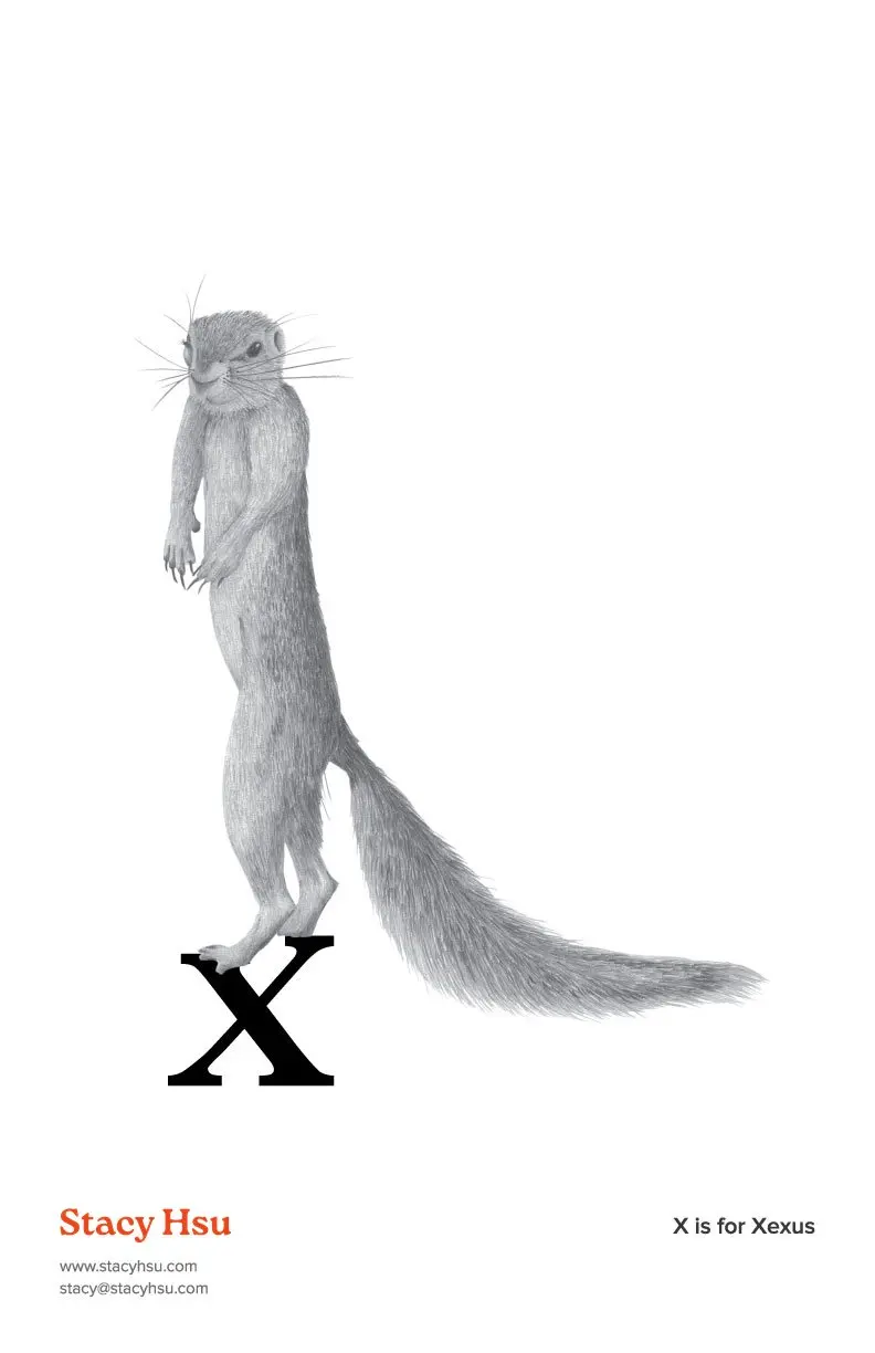 X is for Xerus