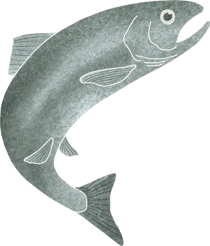 A trout jumping in a stream