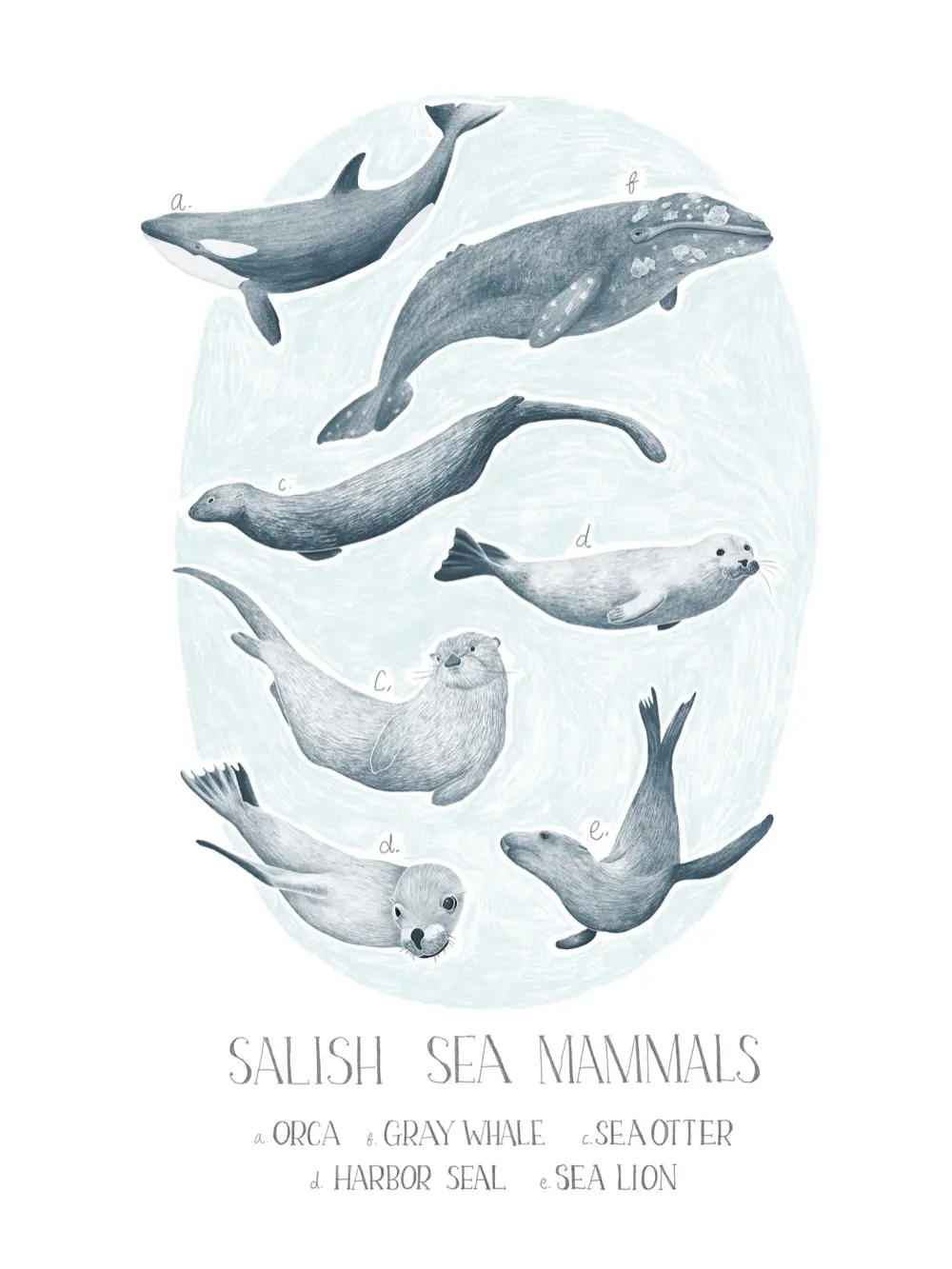 An Olympic National Park mammal field-guide print