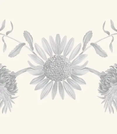 A graphite study of a gumweed