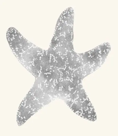 A graphite study of a sea star