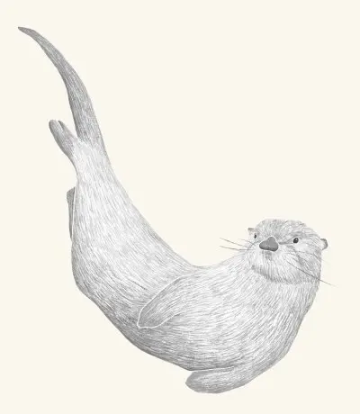 A graphite botanical and wildlife study