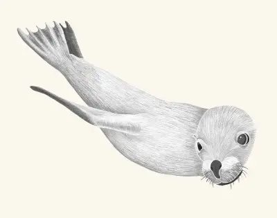 A graphite botanical and wildlife study