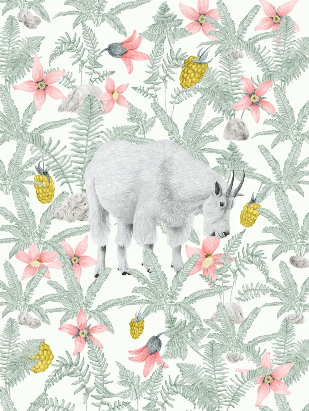 A mountain goat art print