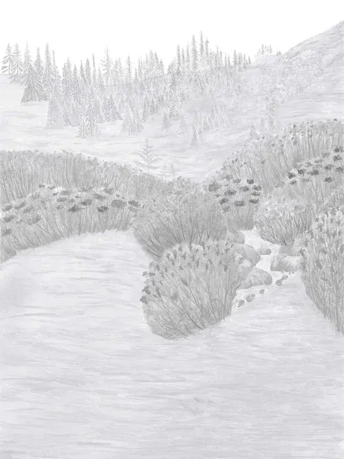 A graphite study working out the composition of the alpine meadow scene