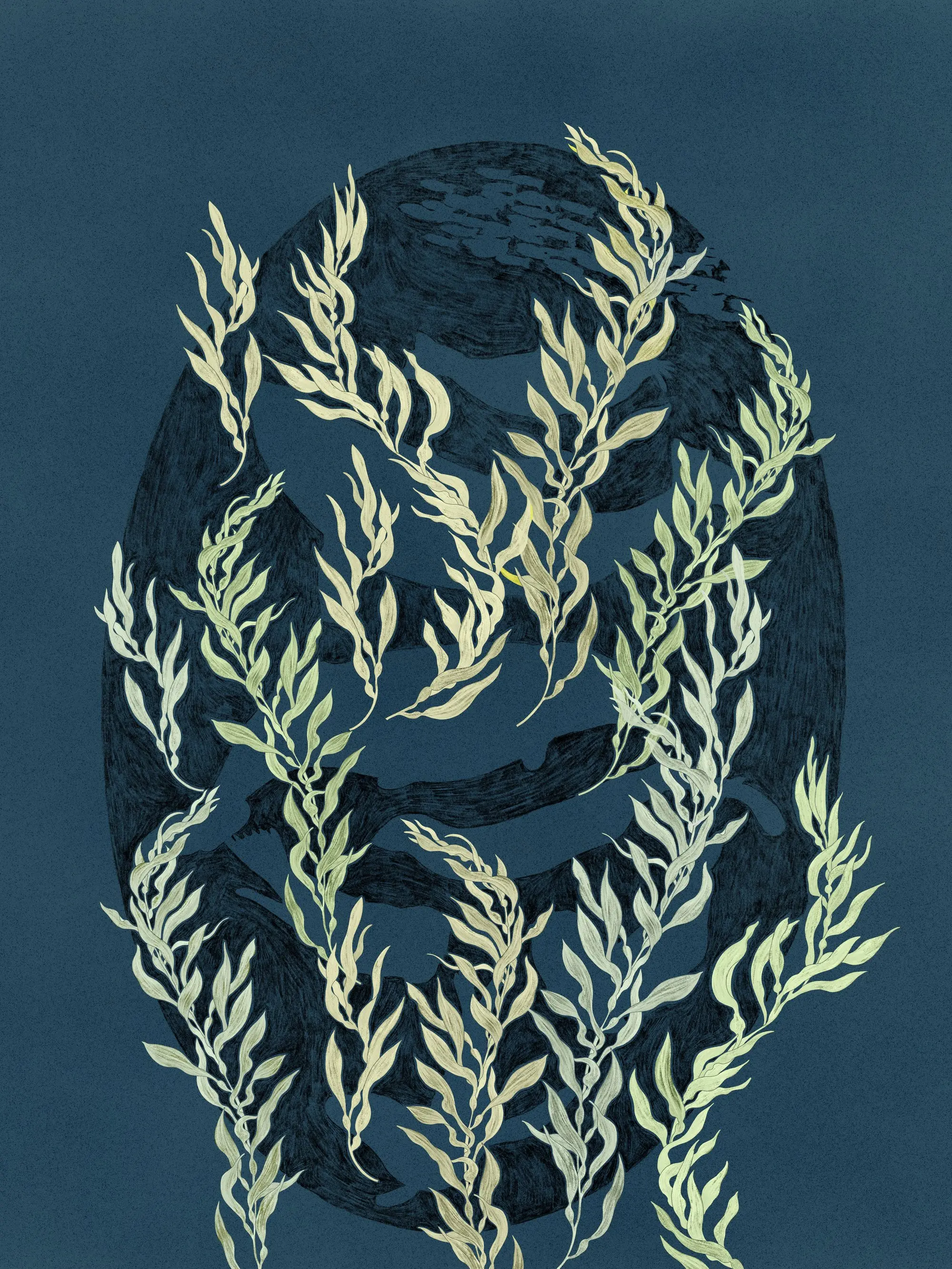 An illustrated underwater kelp forest scene