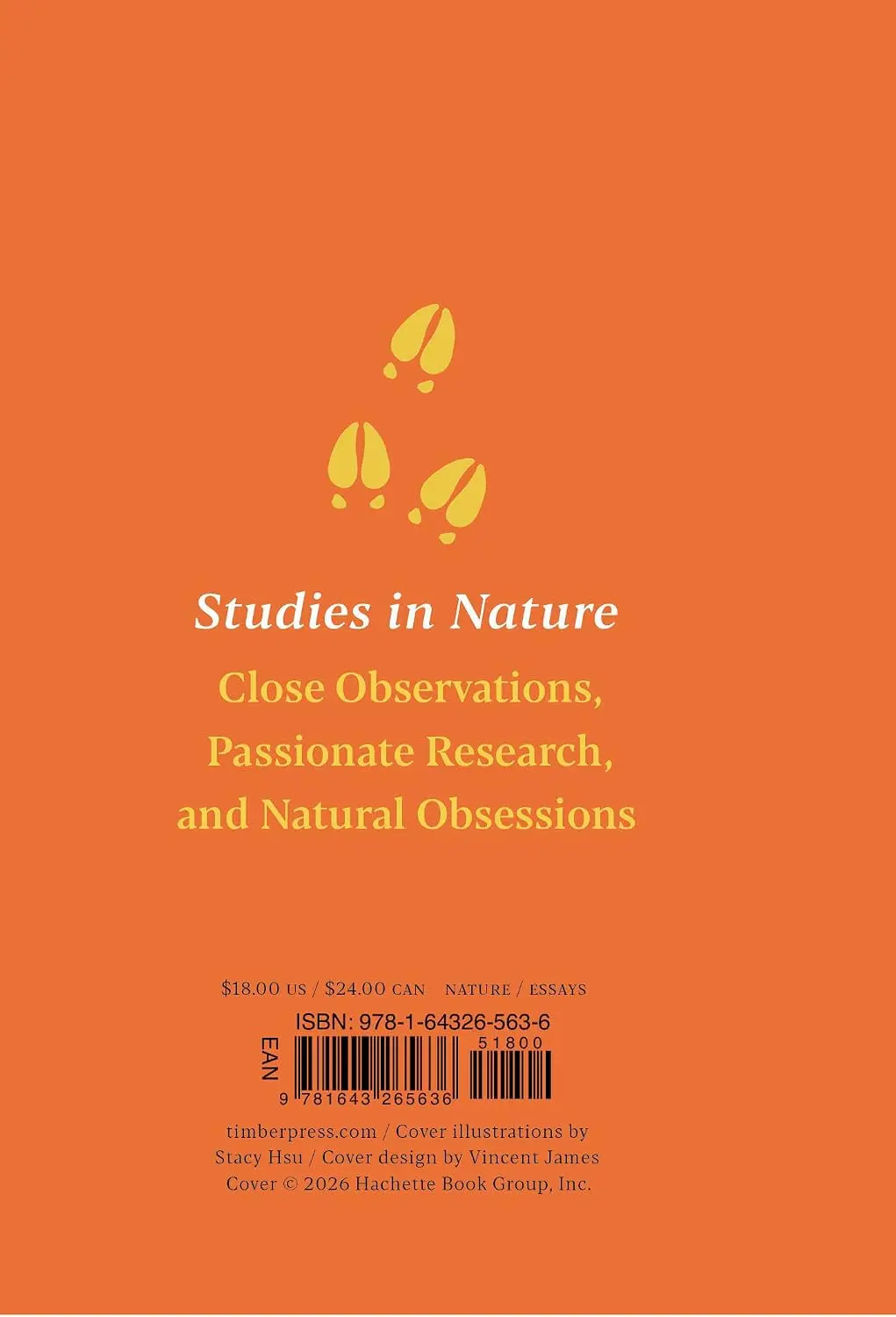 Back cover of Hunting: A New Conversation