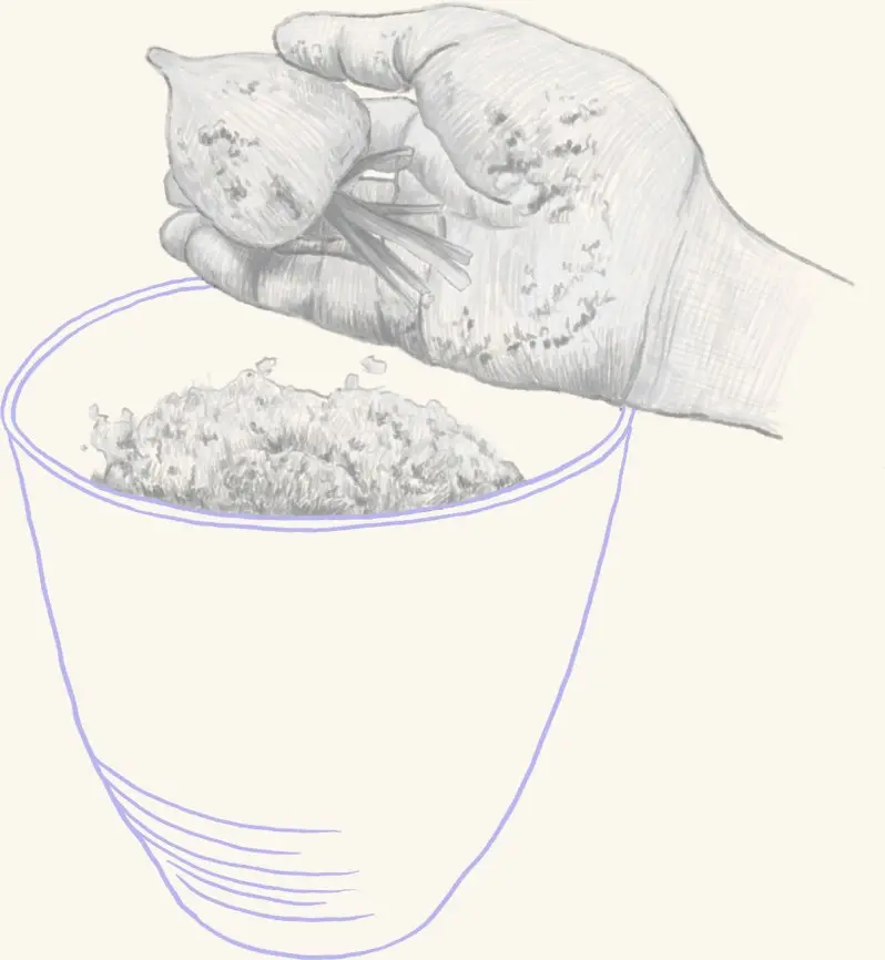 A hand pressing fermented rice into a pail