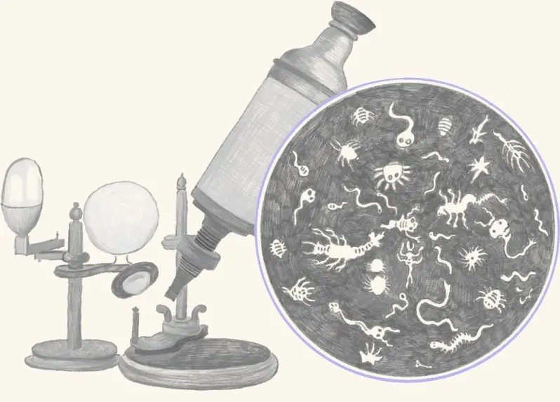 A microscope beside a petri dish of microorganisms
