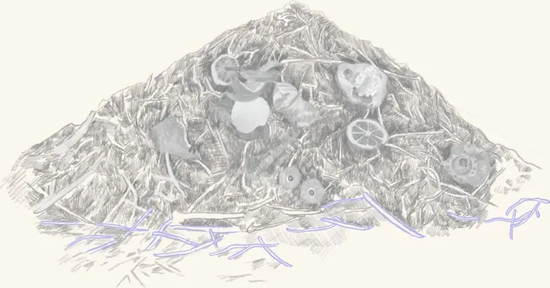 A mound of fermented vegetables