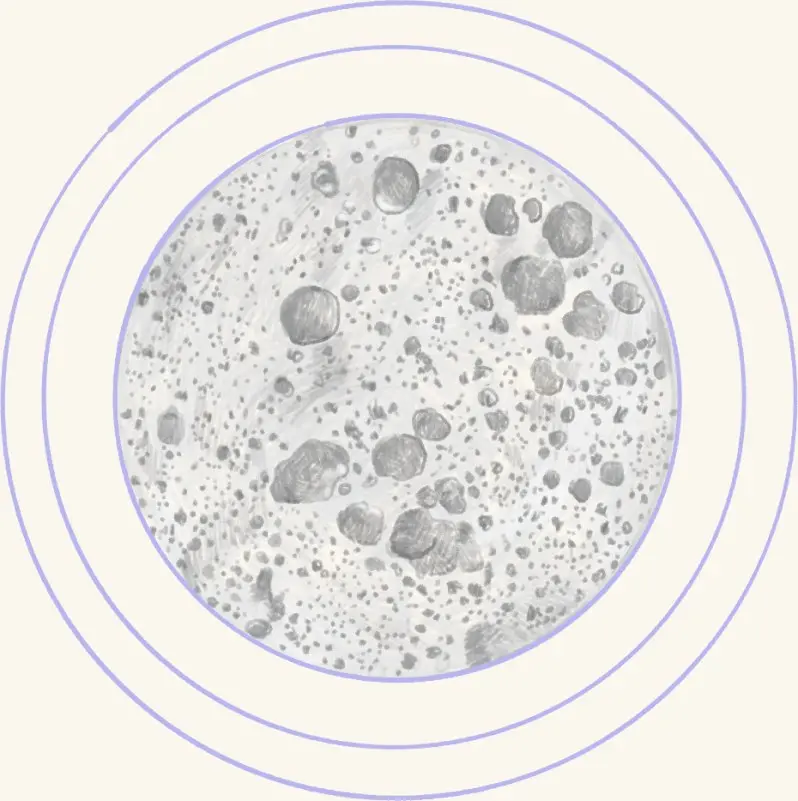 A bubbling sourdough starter