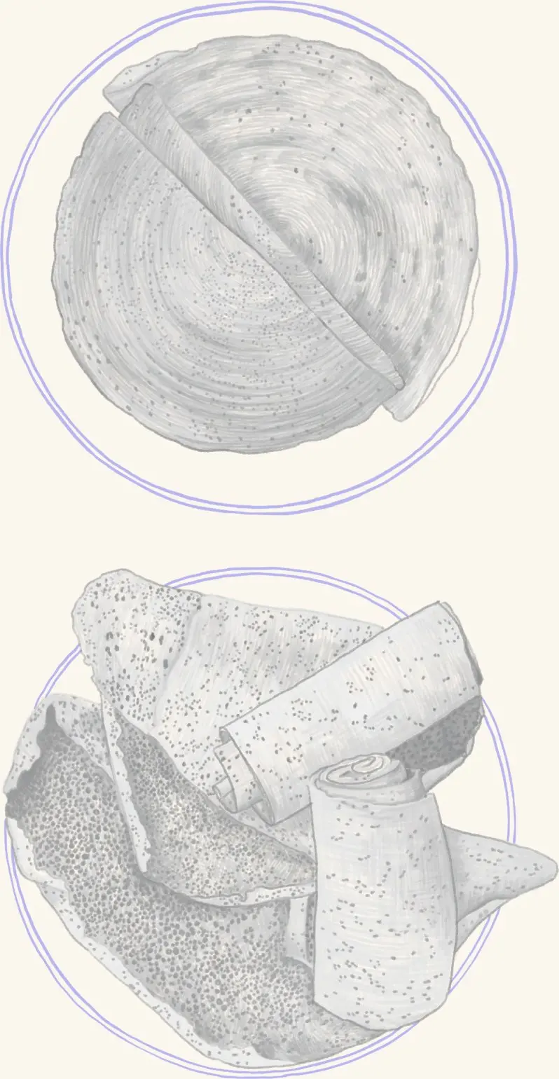 A round of cheese above sliced tempeh