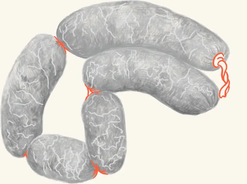 A coil of venison sausages