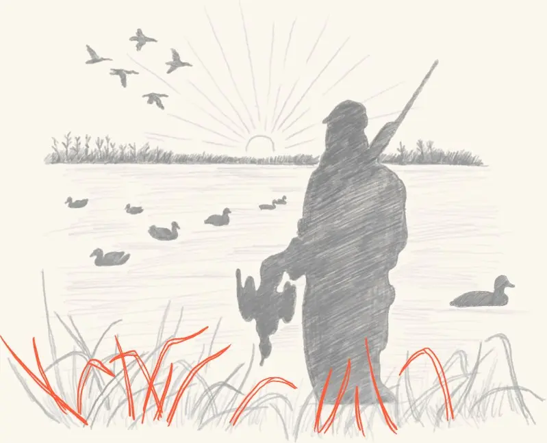A waterfowl hunter at dawn among decoys