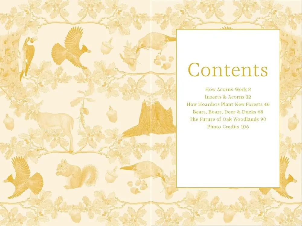 The book's contents page over a soft golden endpaper pattern
