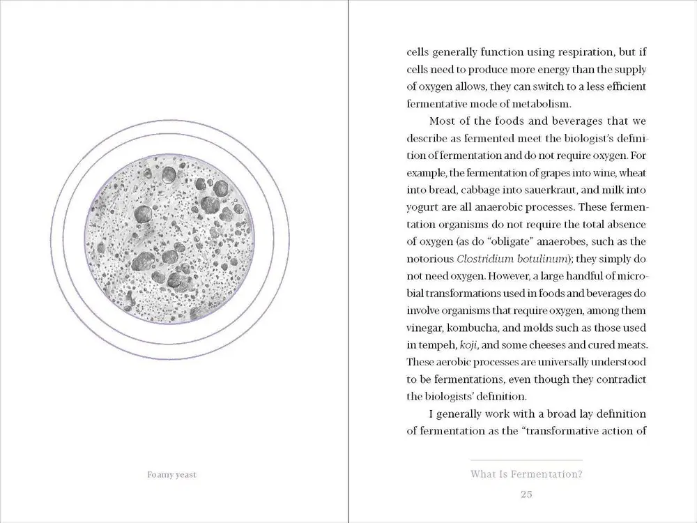 An interior spread with a microscopy illustration of brewer's yeast facing body text