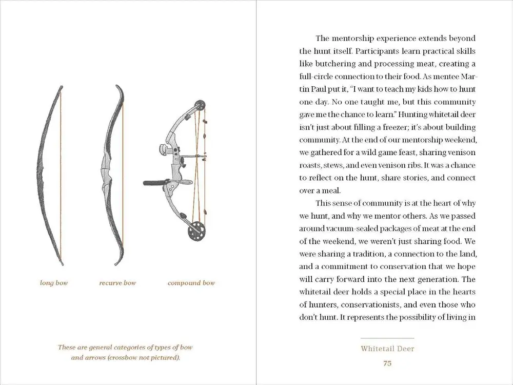 An interior spread illustrating longbow, recurve, and compound bows