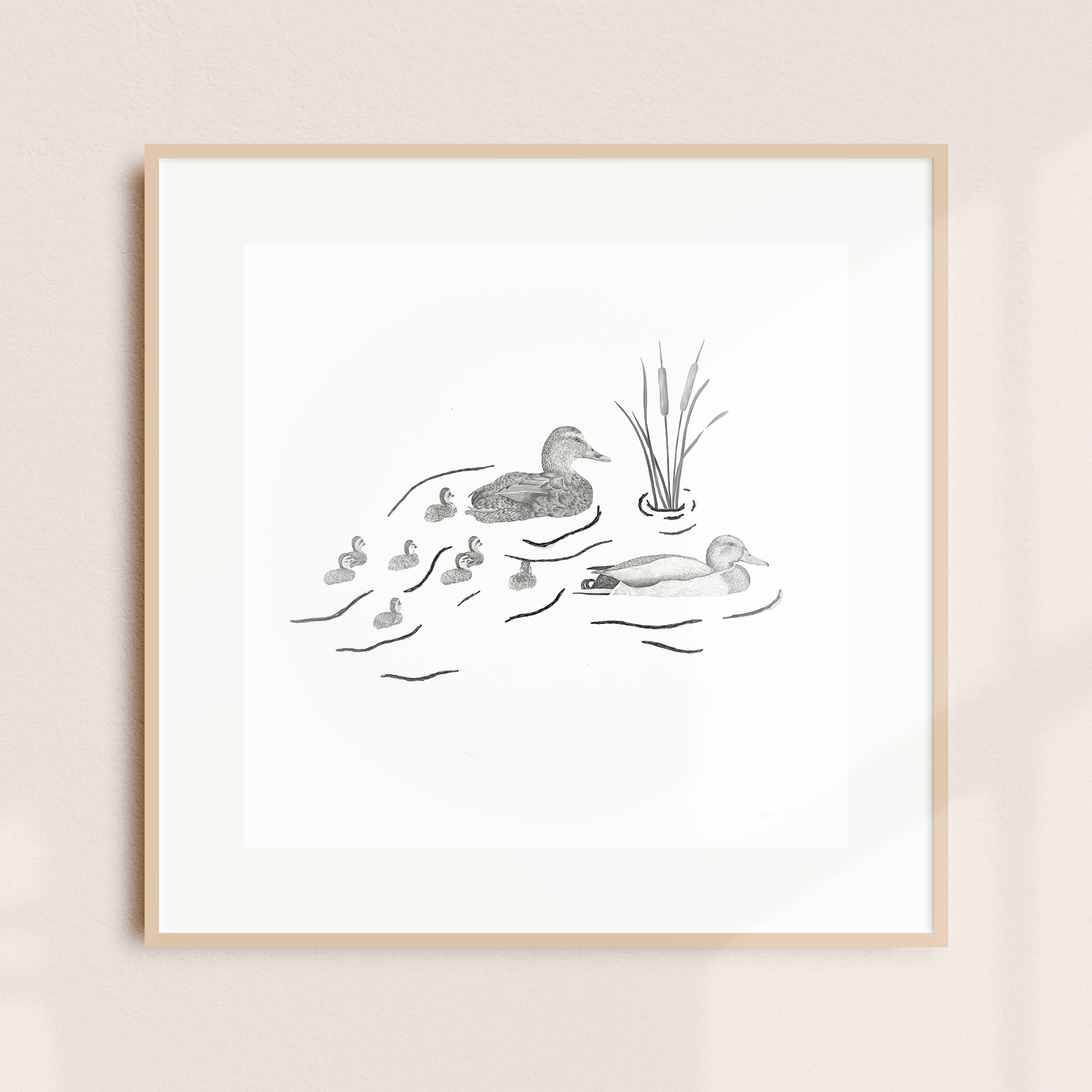 A framed illustration of a mallard with ducklings swimming near cattails