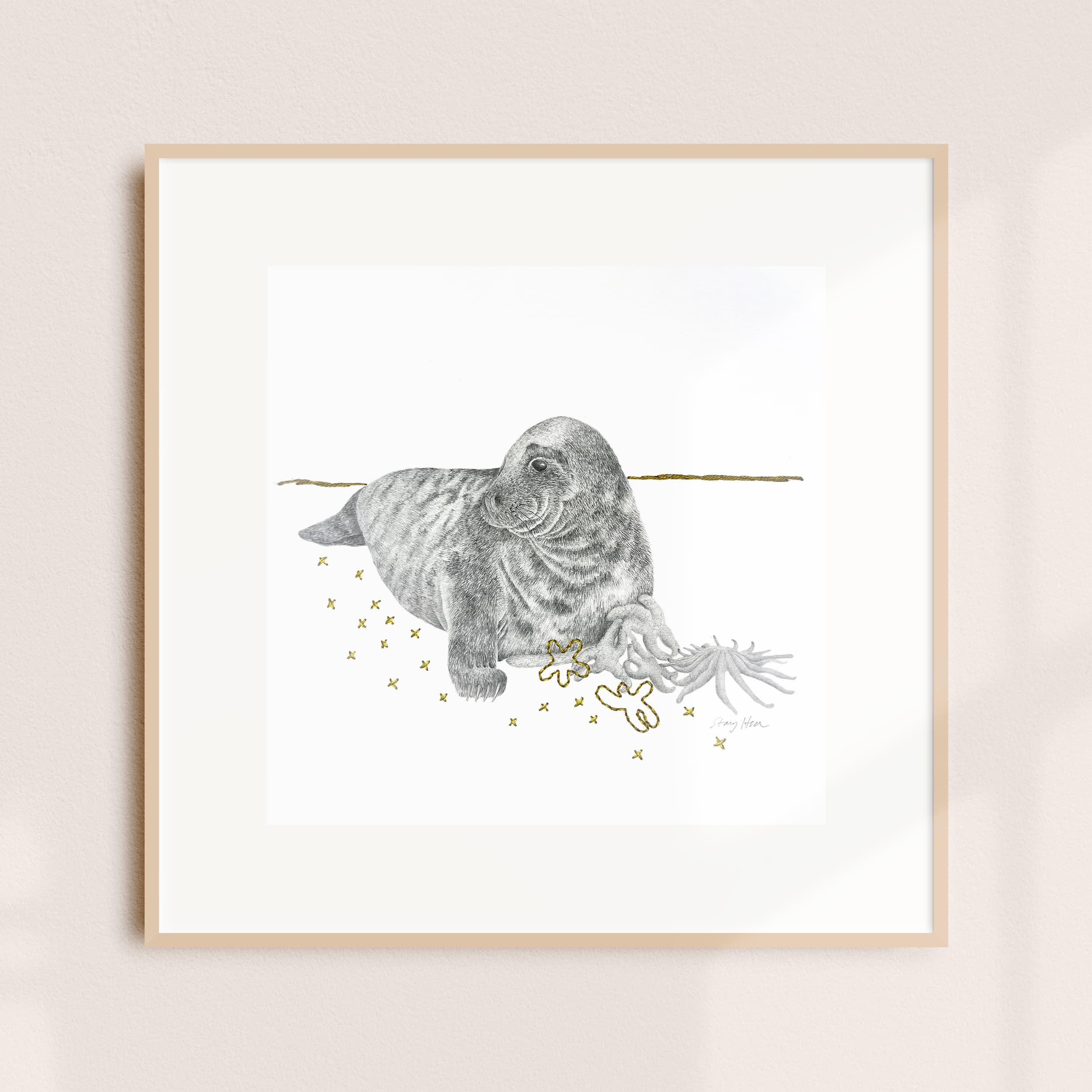 A framed illustration of a seal pup